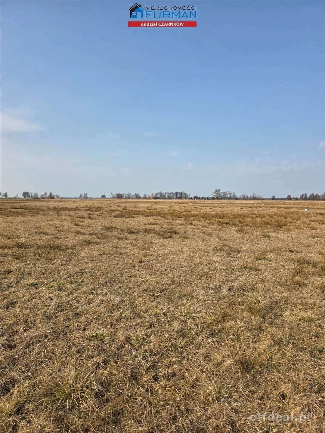 terrain à vendre à Czarnków | 277 265 m²