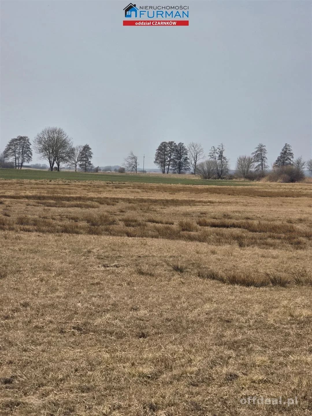 terrain à vendre à Czarnków | 277 265 m²