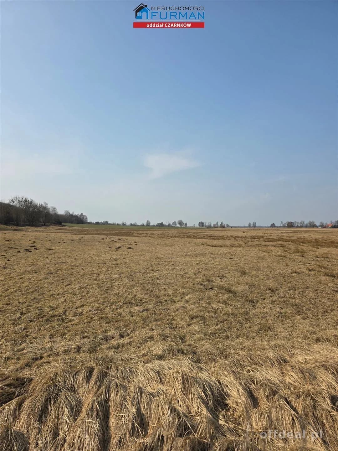 terrain à vendre à Czarnków | 277 265 m²