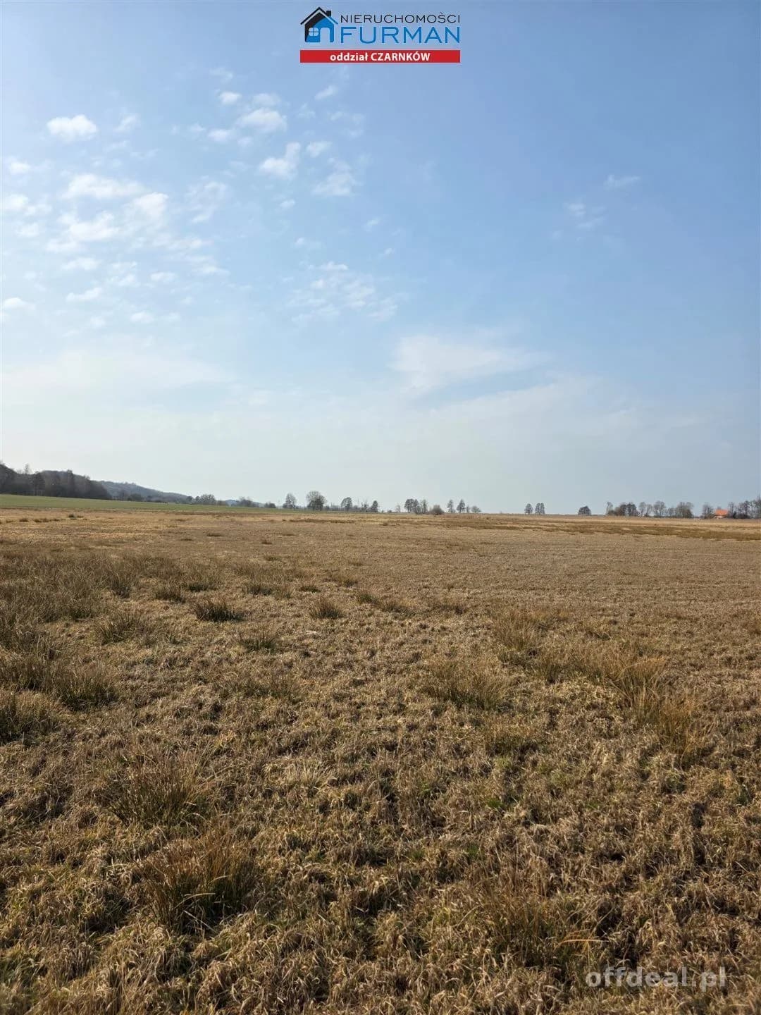 terrain à vendre à Czarnków | 277 265 m²