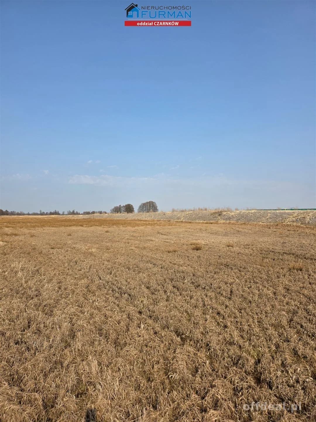 terrain à vendre à Czarnków | 277 265 m²