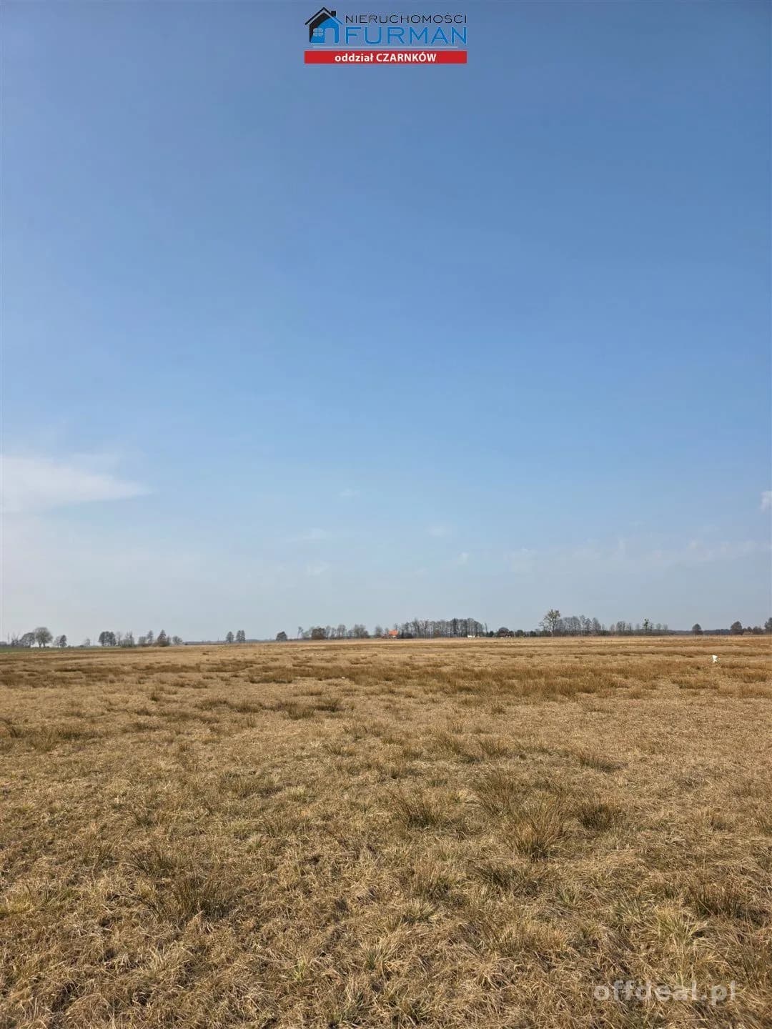 terrain à vendre à Czarnków | 277 265 m²