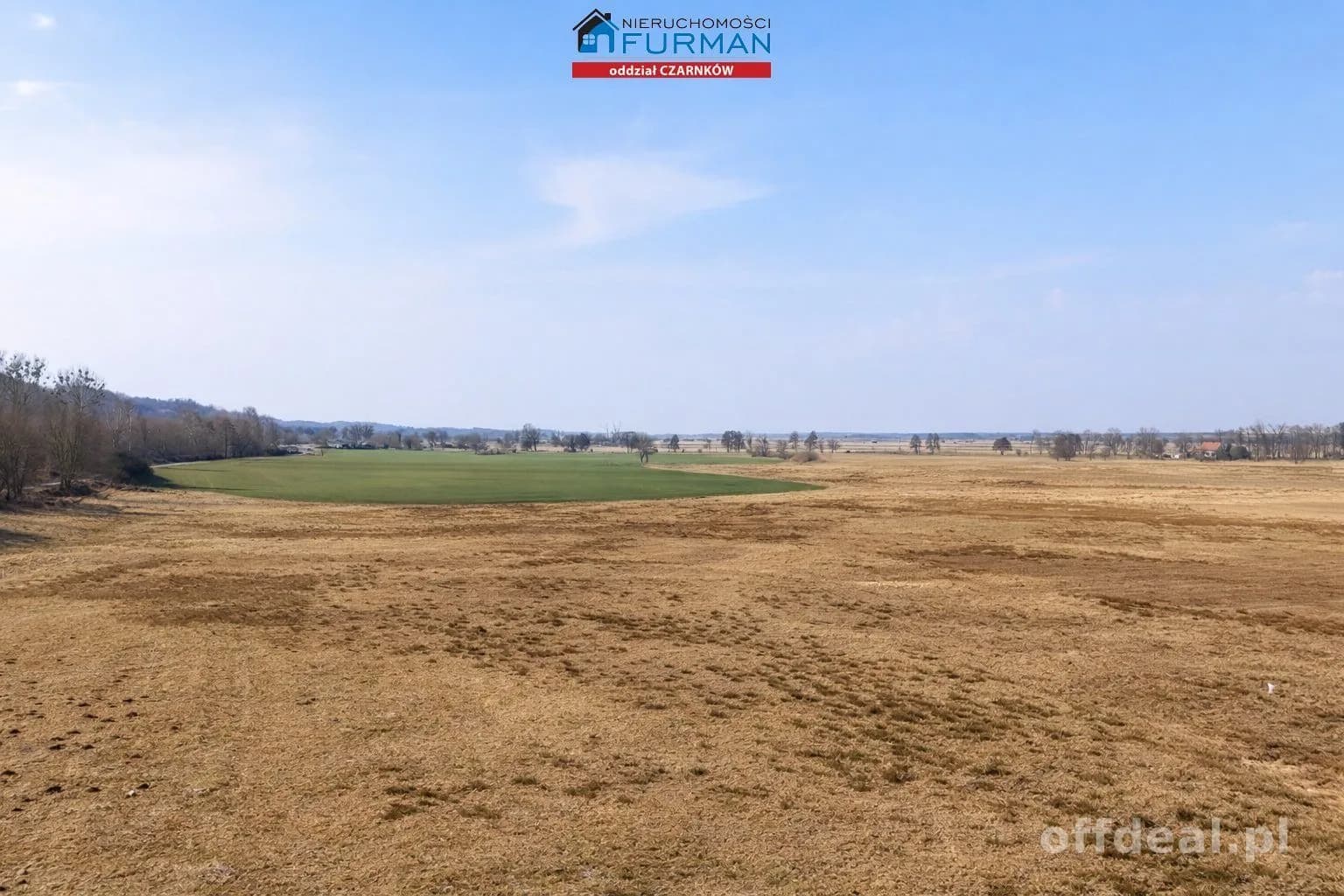 terrain à vendre à Czarnków | 277 265 m²
