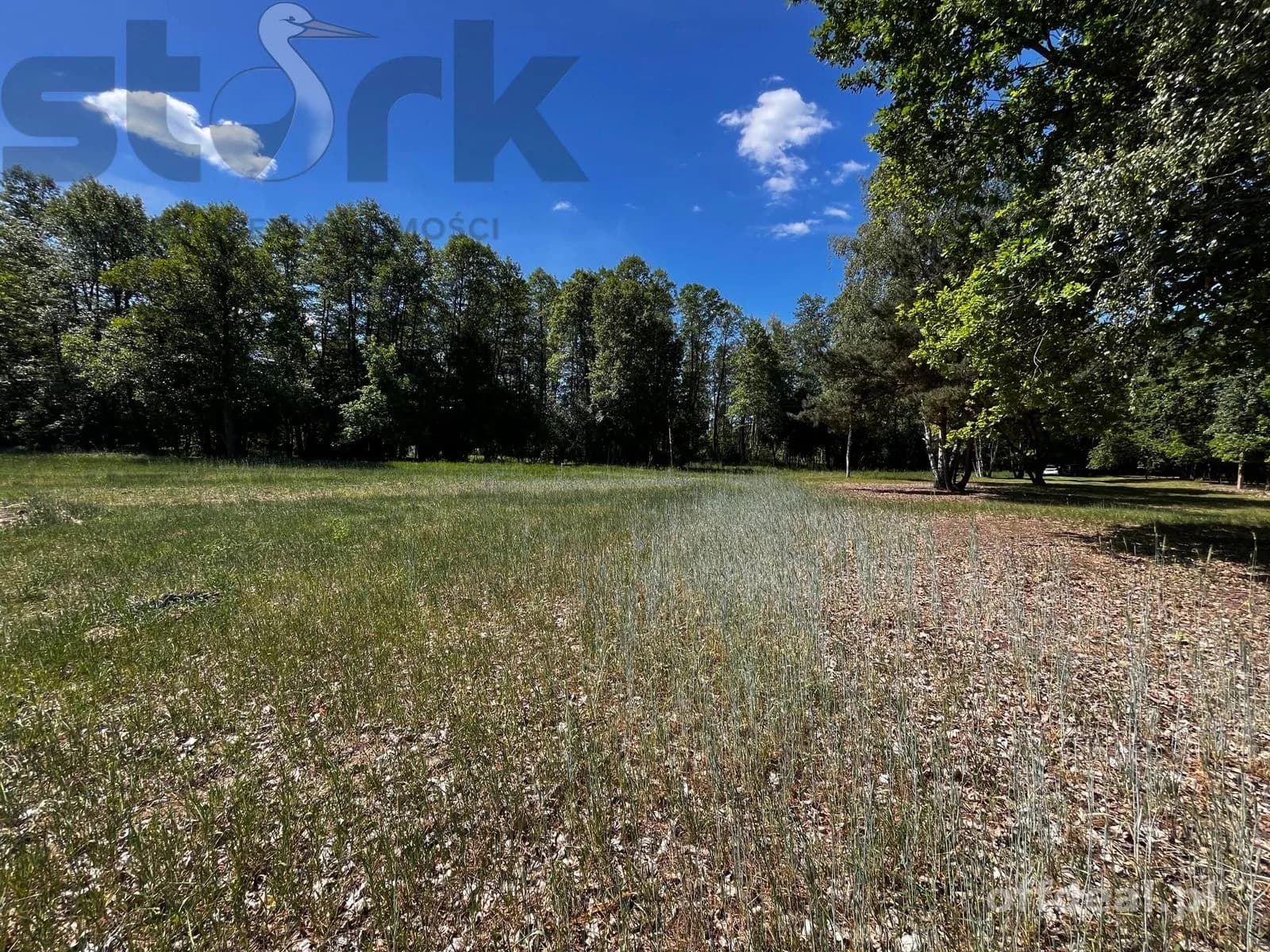 plot for sale in Arkadia | 65,418 m²