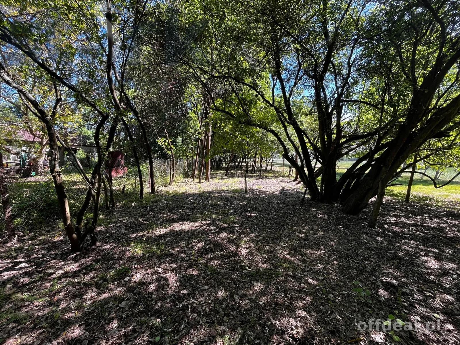 plot for sale in Arkadia | 65,418 m²