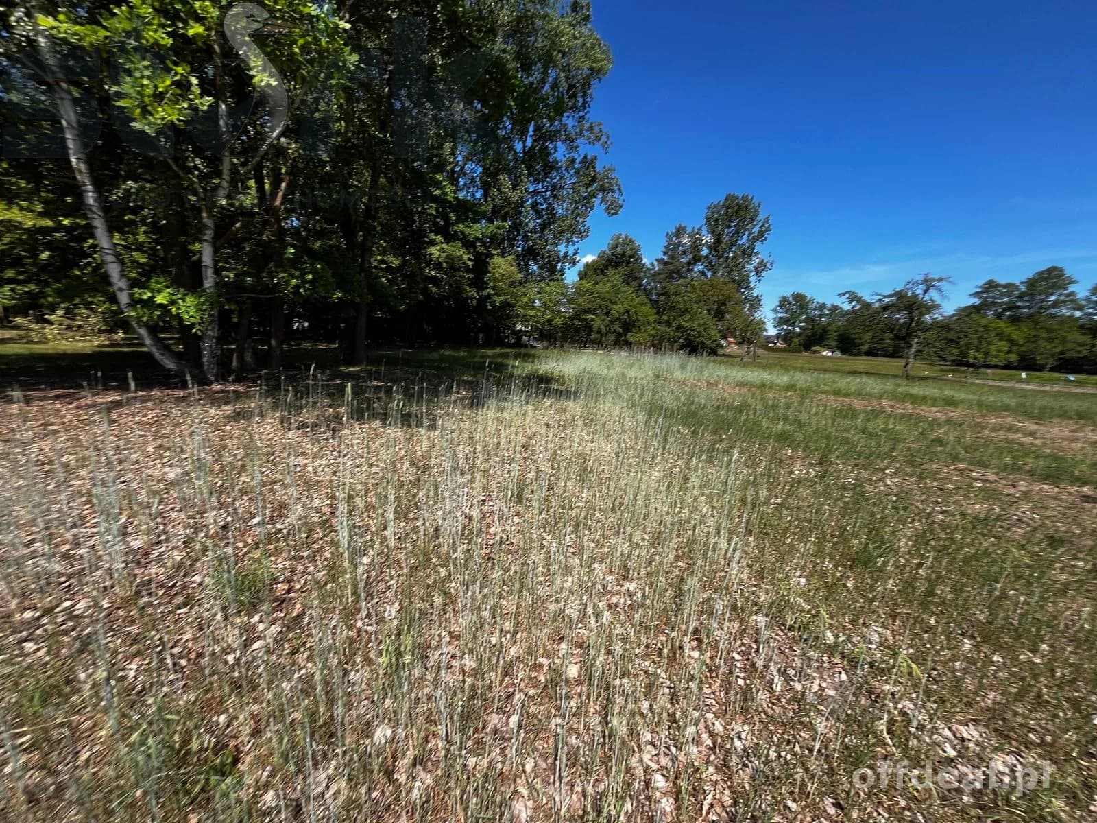 plot for sale in Arkadia | 65,418 m²