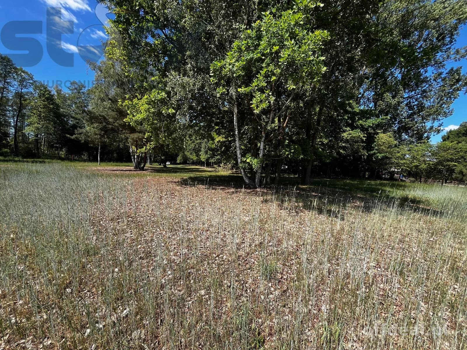 plot for sale in Arkadia | 65,418 m²