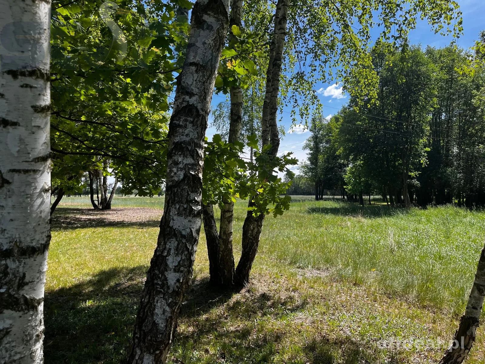 plot for sale in Arkadia | 65,418 m²