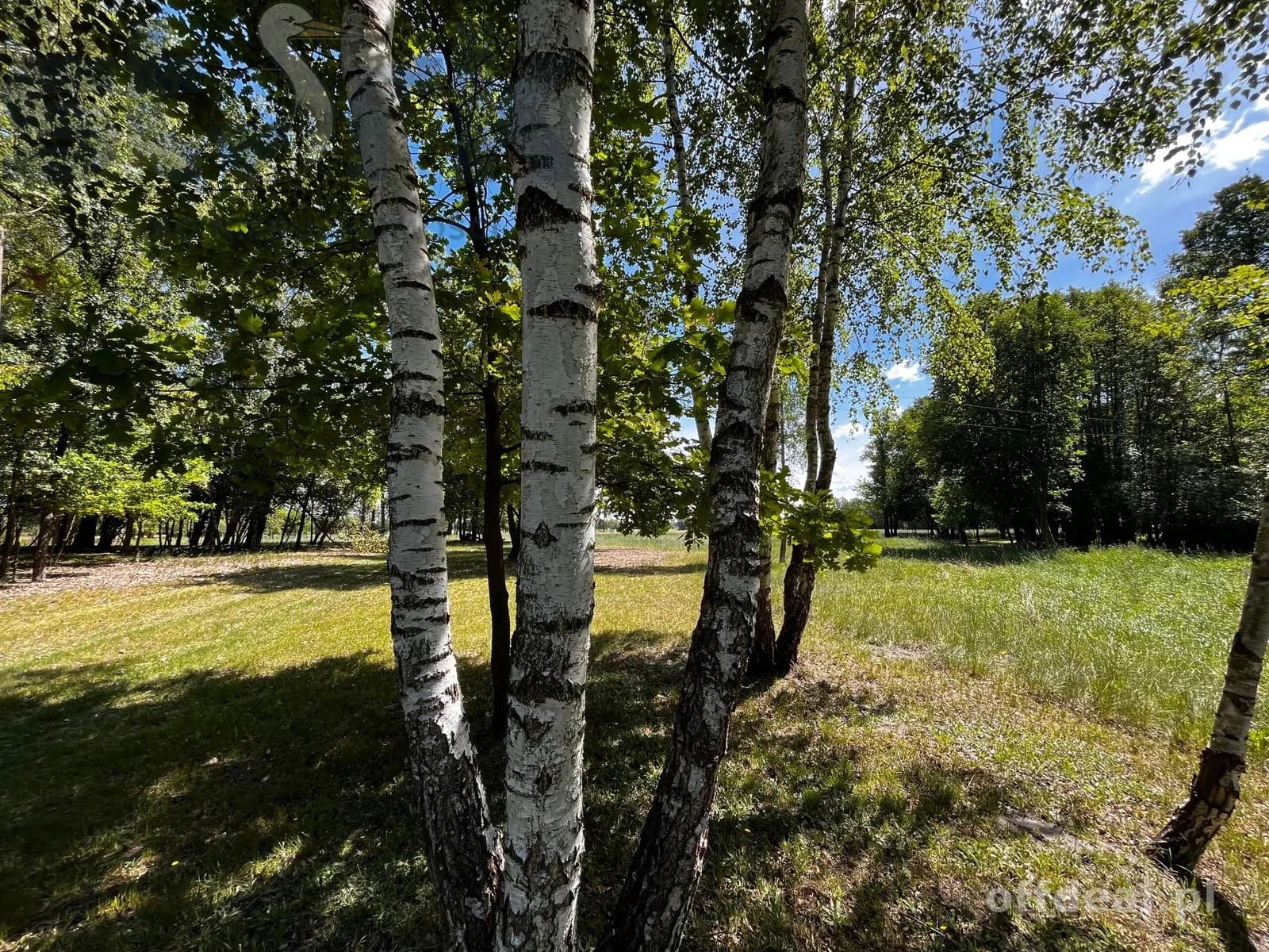 plot for sale in Arkadia | 65,418 m²