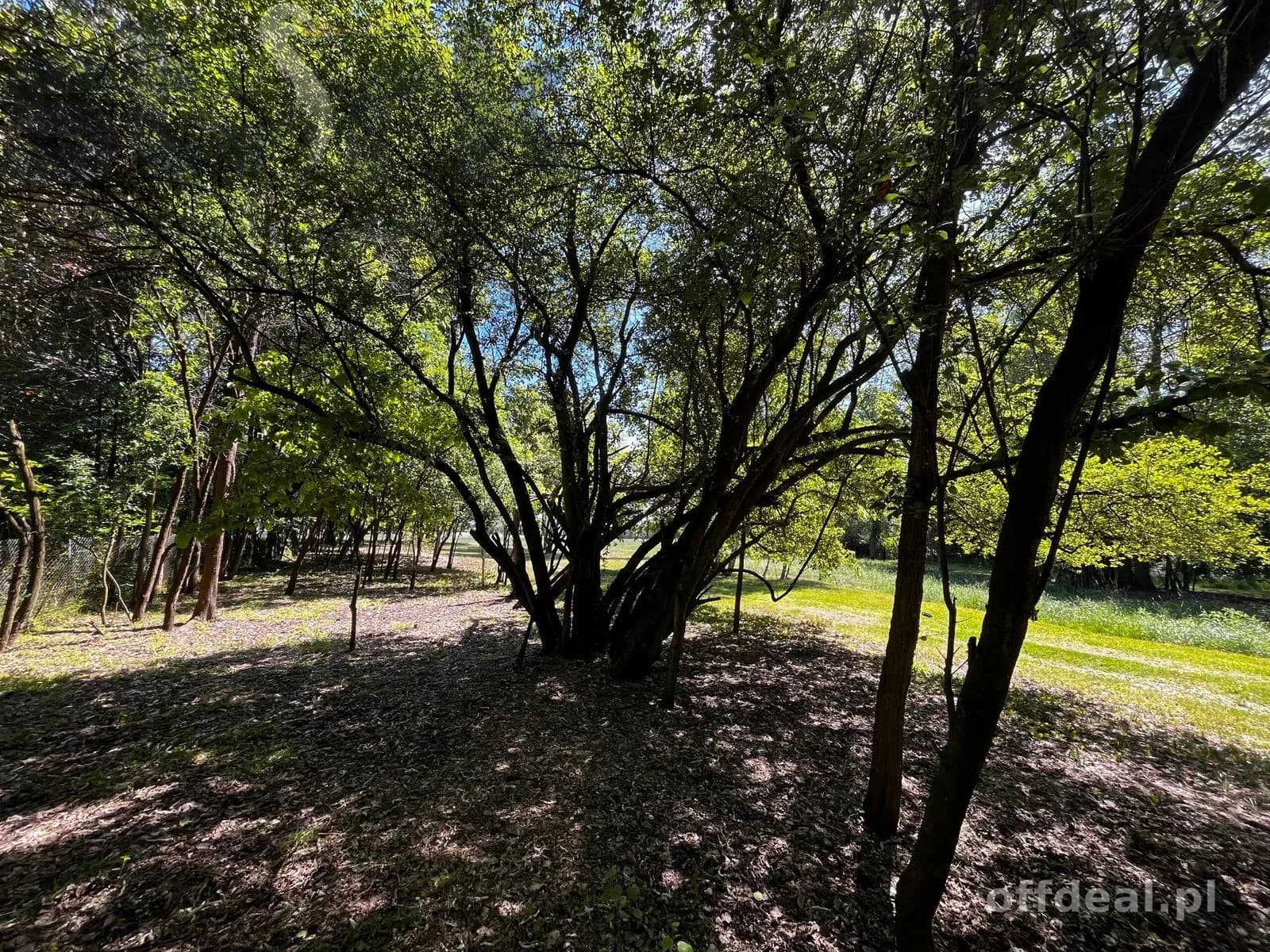 plot for sale in Arkadia | 65,418 m²