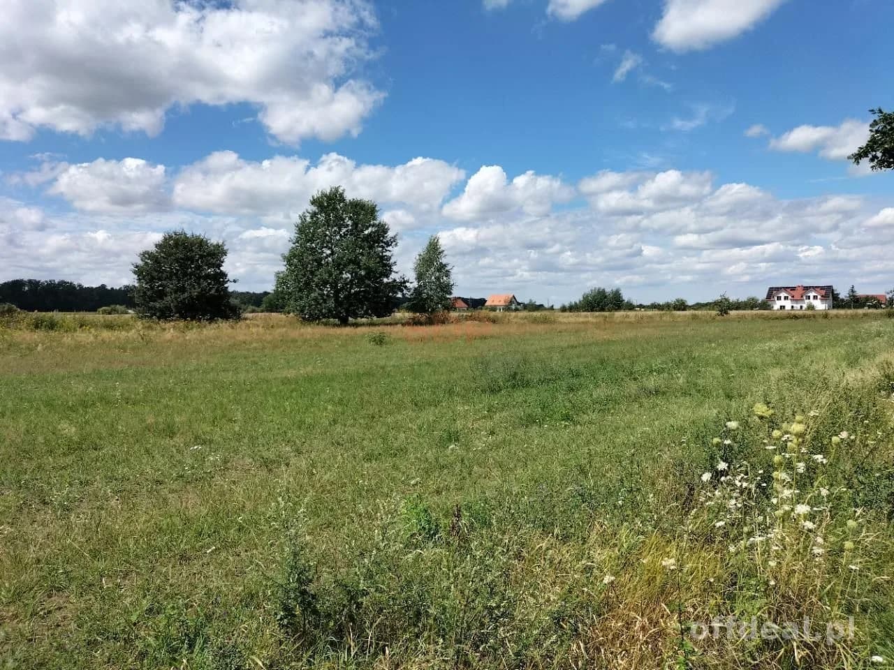 Grundstück zum Verkauf in Siedlce | 12.554 m²