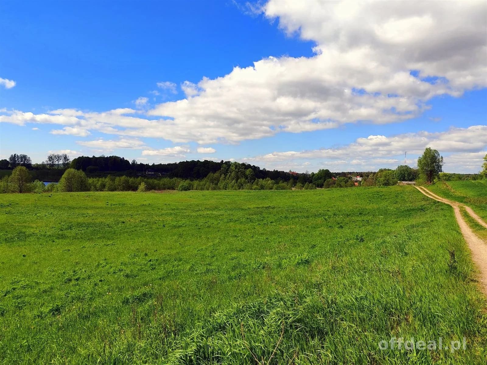 ділянка на продаж у Gołdap, Galwiecie | 219 456 m²