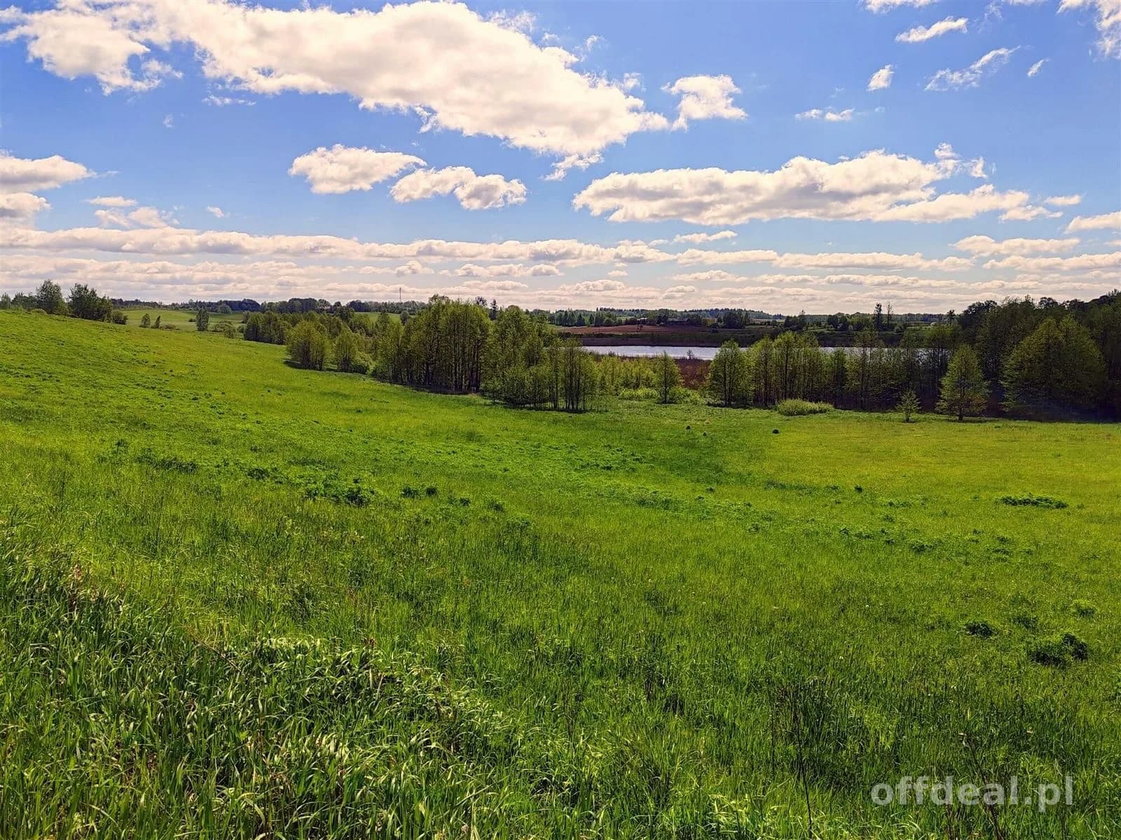 ділянка на продаж у Gołdap, Galwiecie | 219 456 m²