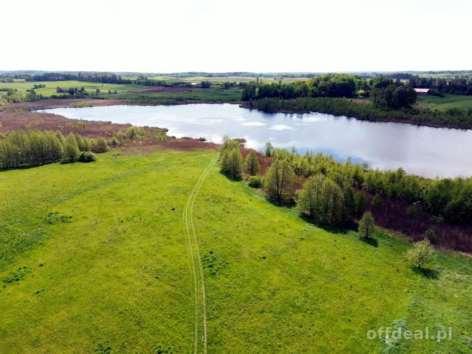 ділянка на продаж у Gołdap, Galwiecie | 219 456 m²
