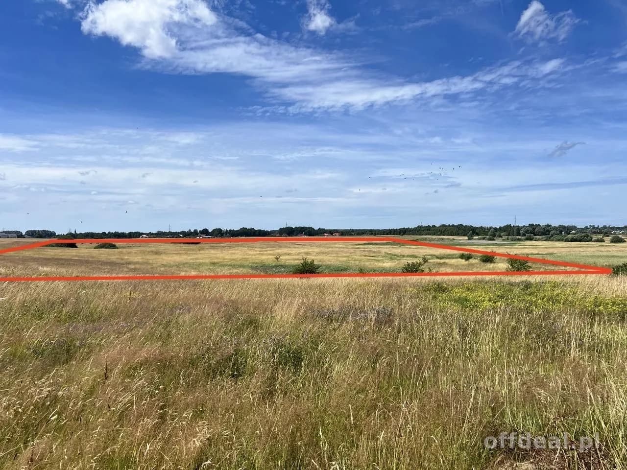 ділянка на продаж у Zieleniewo | 4 691 m²