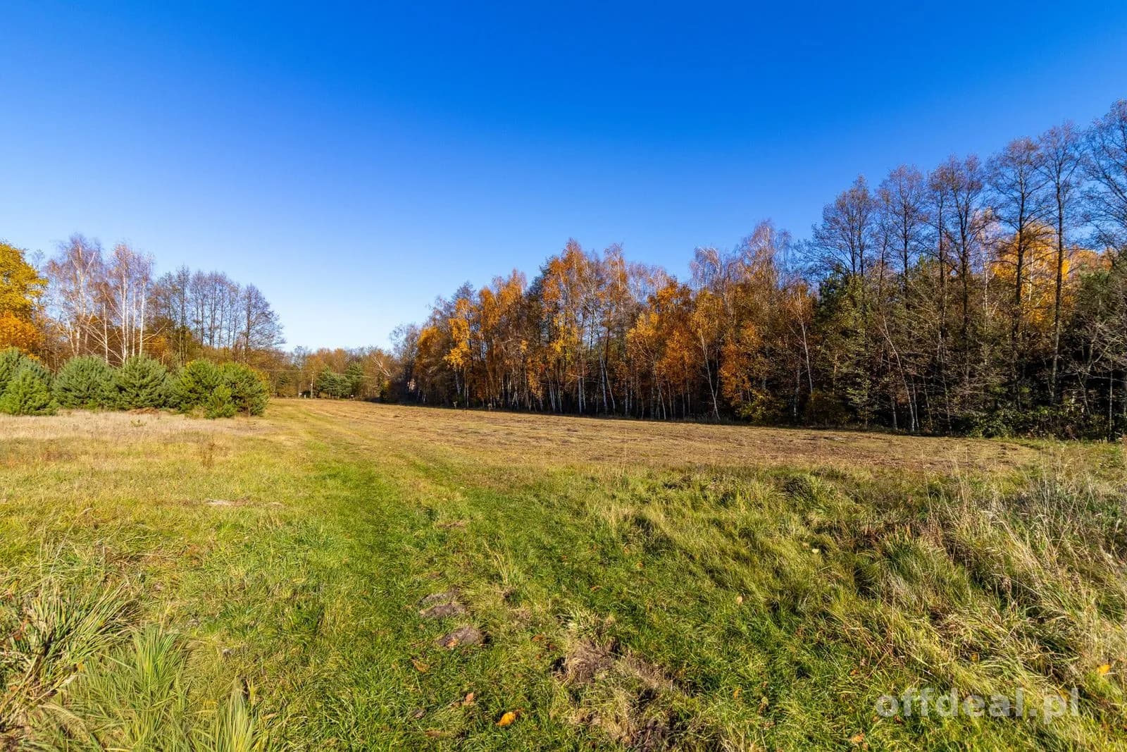 Grundstück zum Verkauf in Stare Krasnodęby | 5.150 m²
