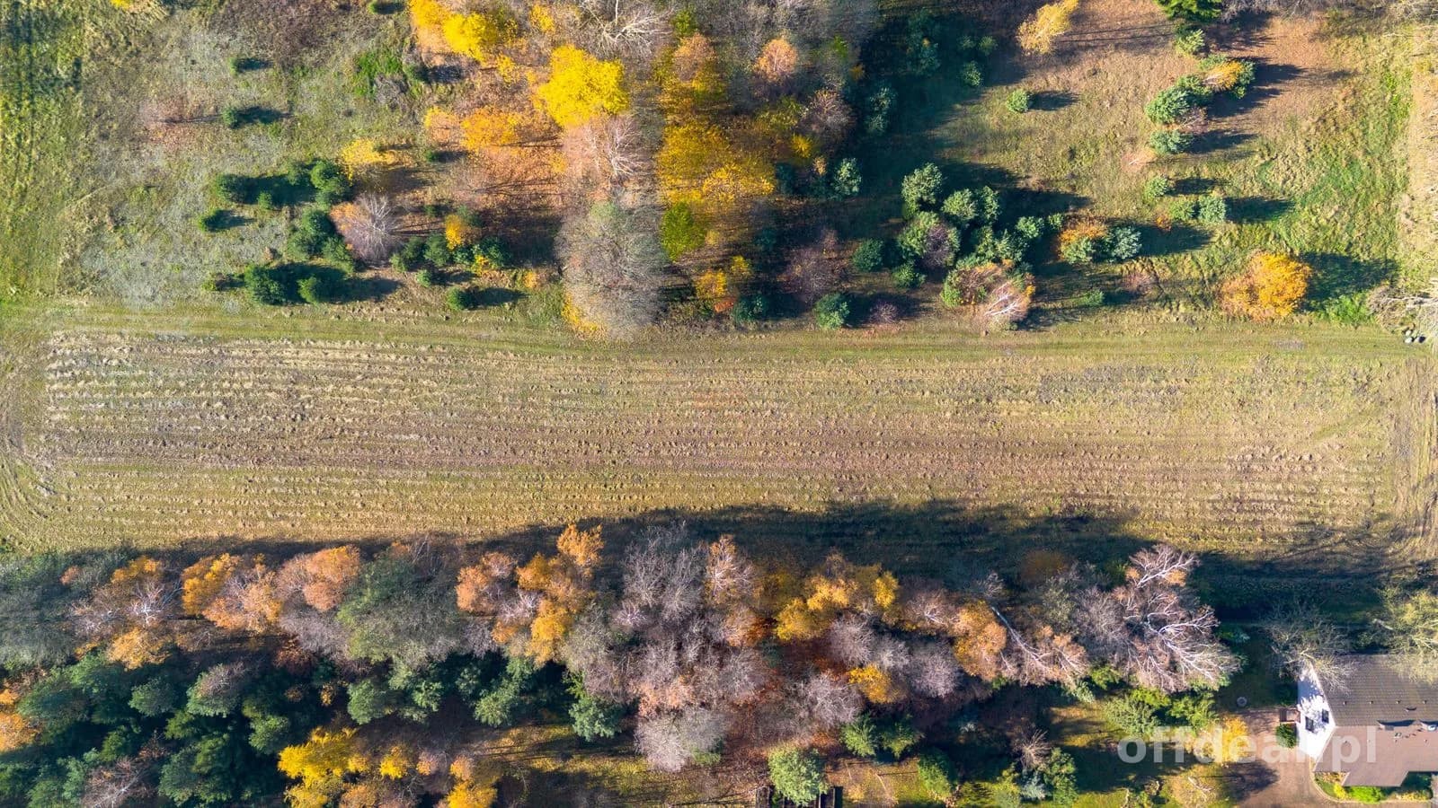 Grundstück zum Verkauf in Stare Krasnodęby | 5.150 m²