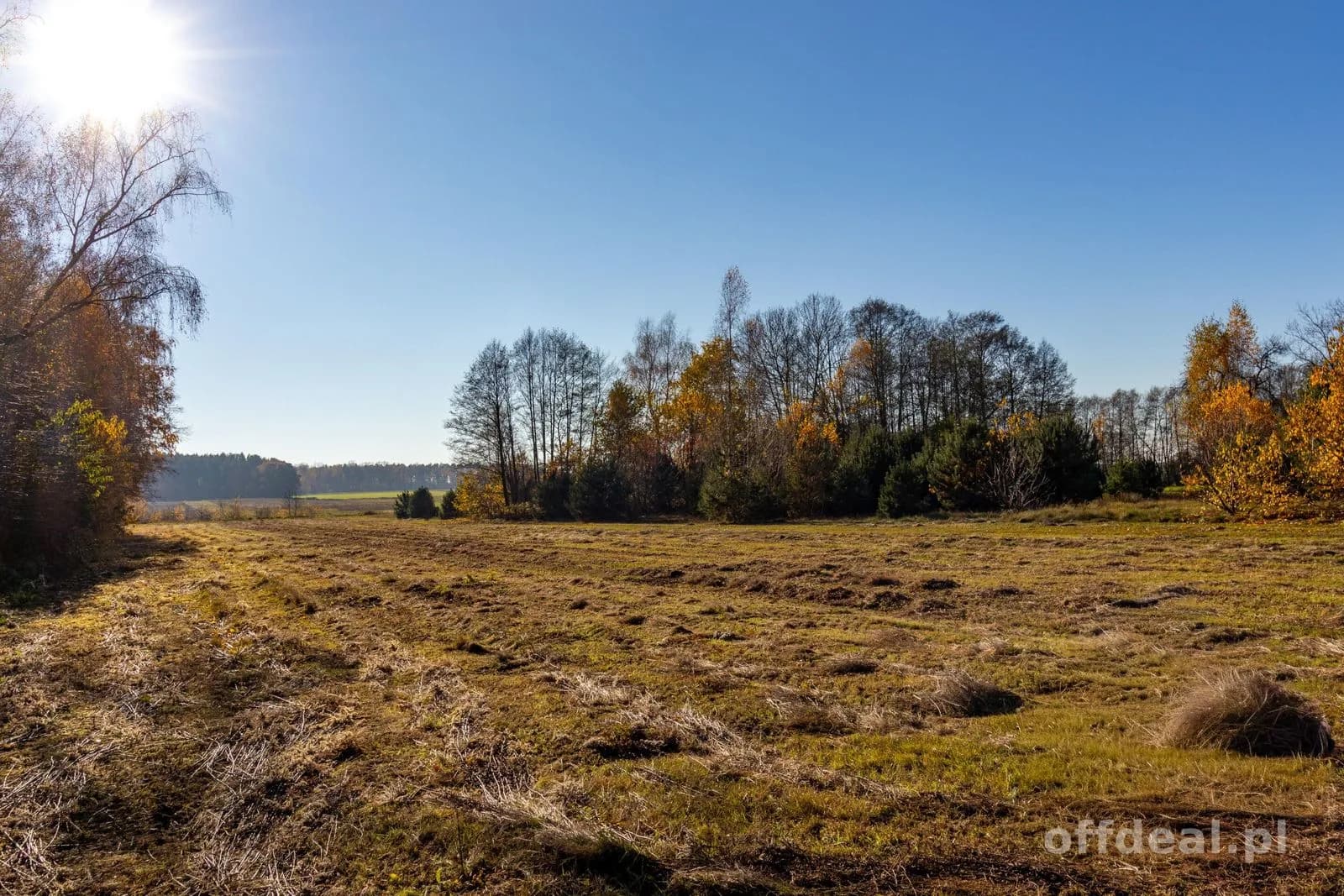 Grundstück zum Verkauf in Stare Krasnodęby | 5.150 m²