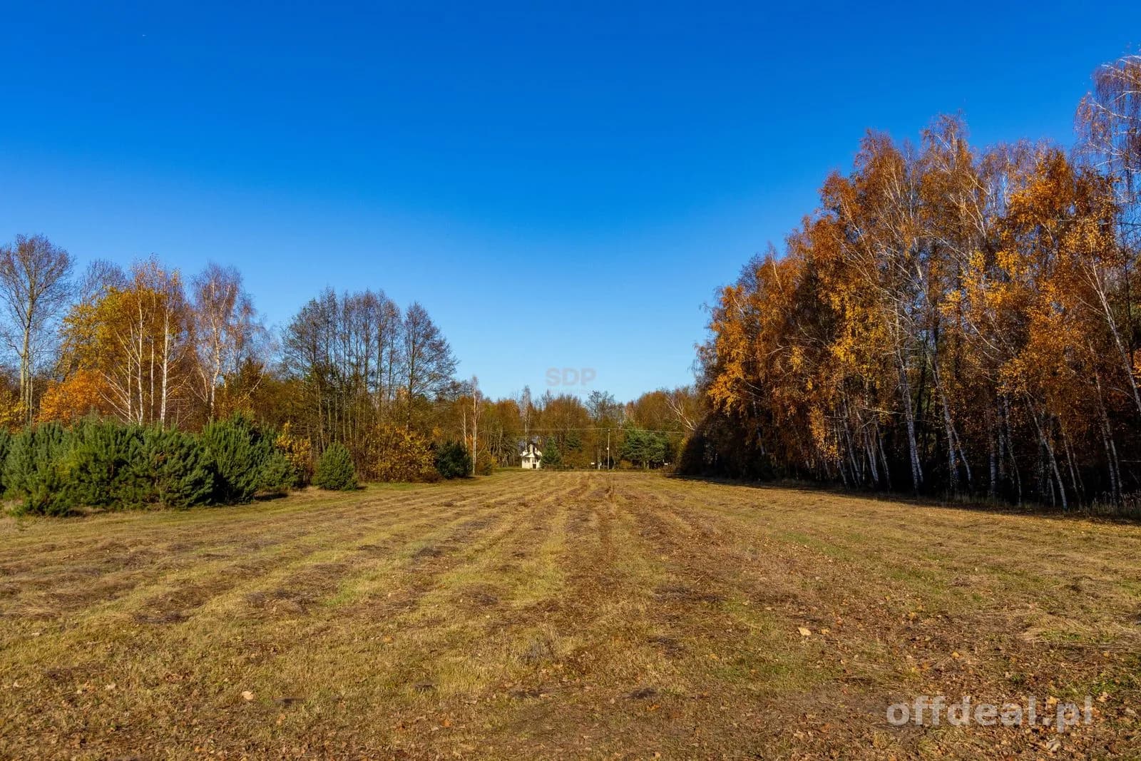 Grundstück zum Verkauf in Stare Krasnodęby | 5.150 m²
