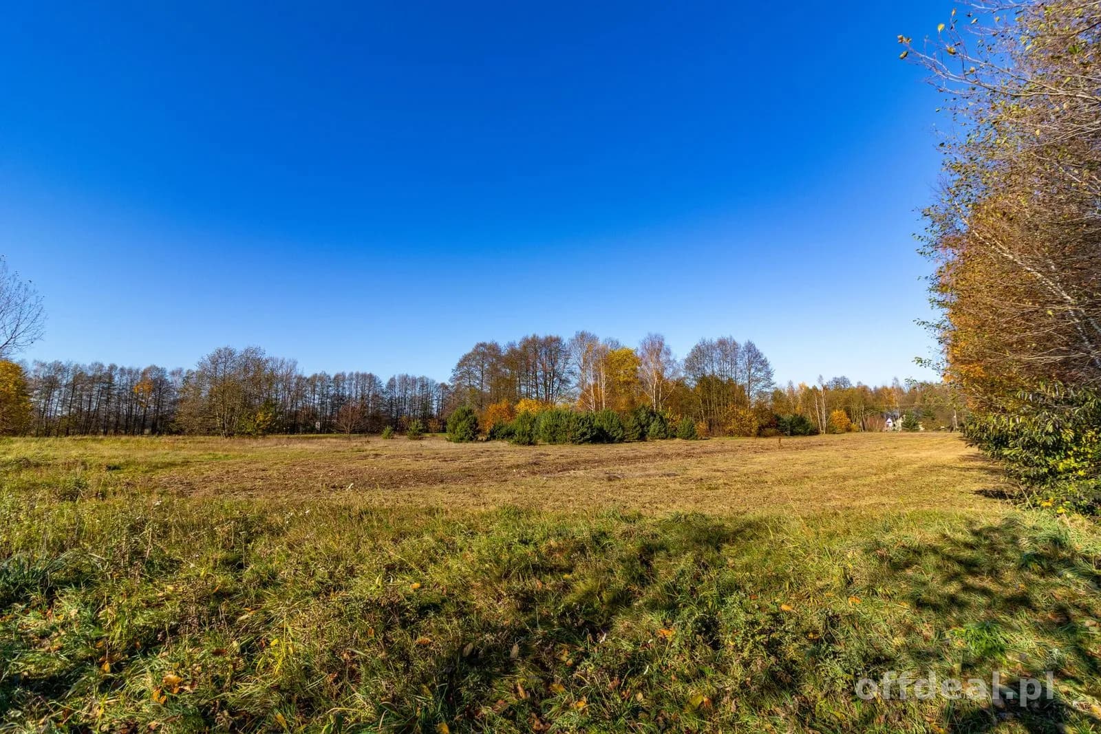 Grundstück zum Verkauf in Stare Krasnodęby | 5.150 m²