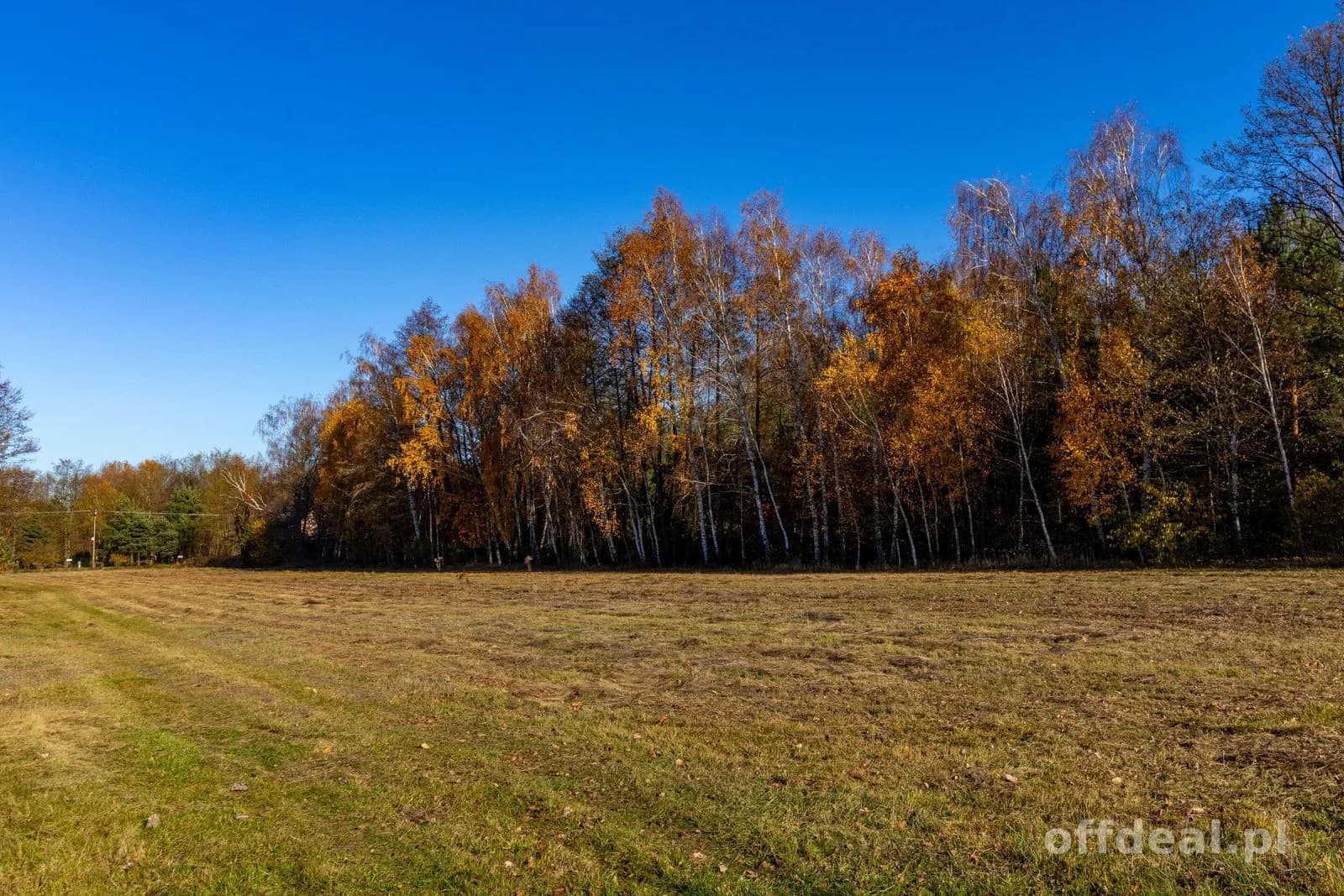 Grundstück zum Verkauf in Stare Krasnodęby | 5.150 m²