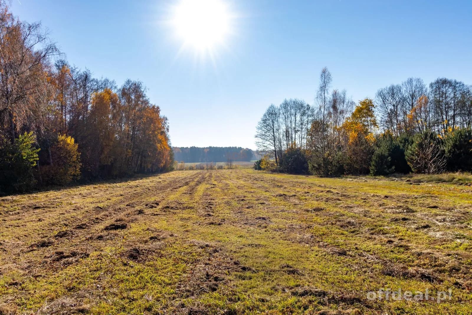 Grundstück zum Verkauf in Stare Krasnodęby | 5.150 m²