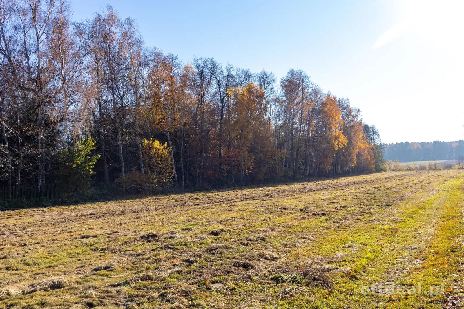Grundstück zum Verkauf in Stare Krasnodęby | 5.150 m²