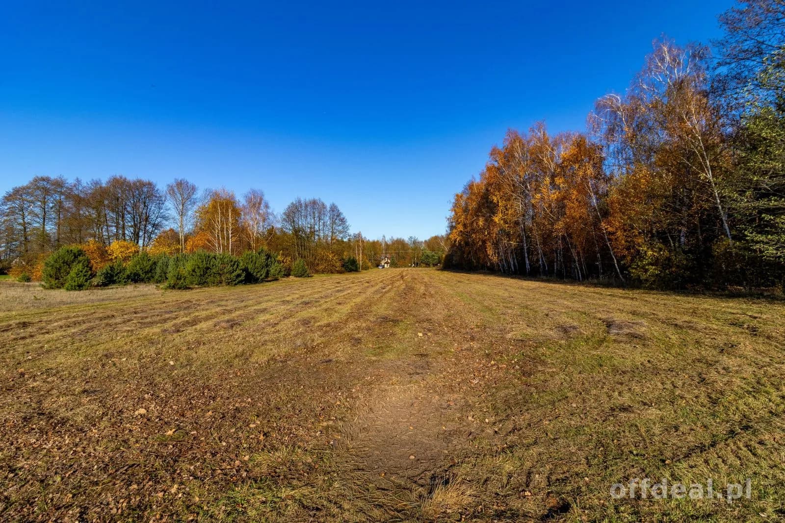 Grundstück zum Verkauf in Stare Krasnodęby | 5.150 m²