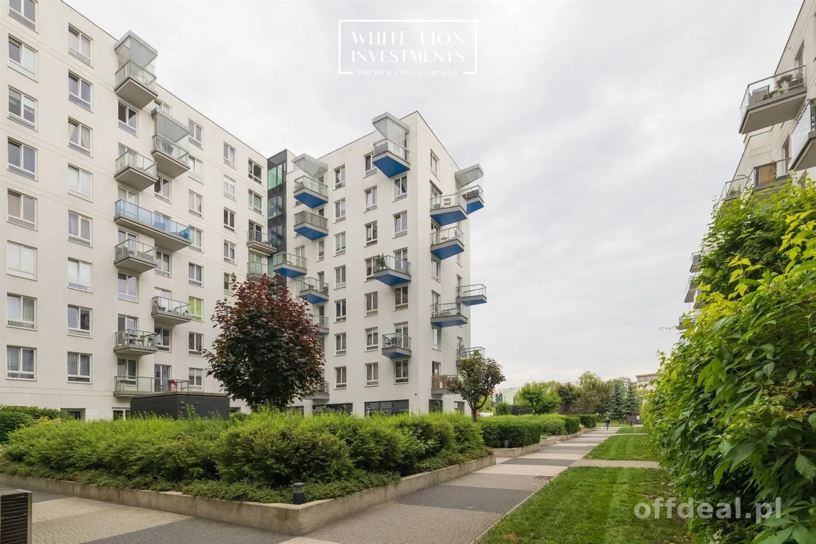 3-room apartment for rent in Warszawa, Żoliborz, Sady Żoliborskie | 70 m²