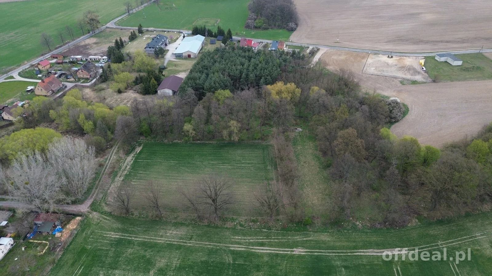 plot for sale in Grzebielin | 34,600 m²