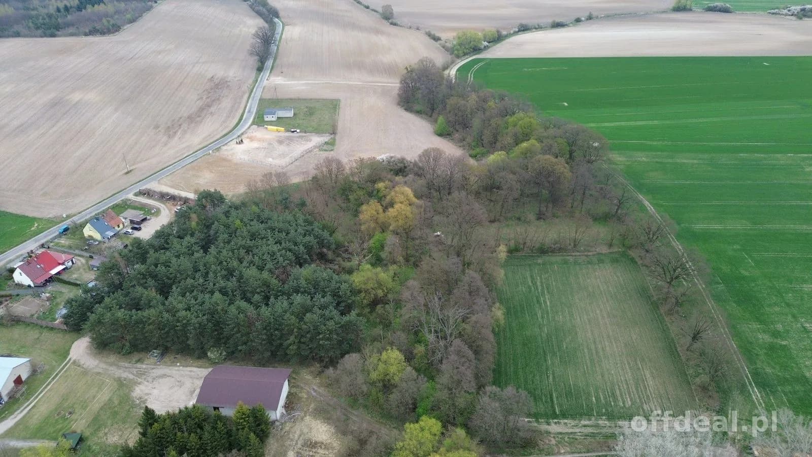 plot for sale in Grzebielin | 34,600 m²