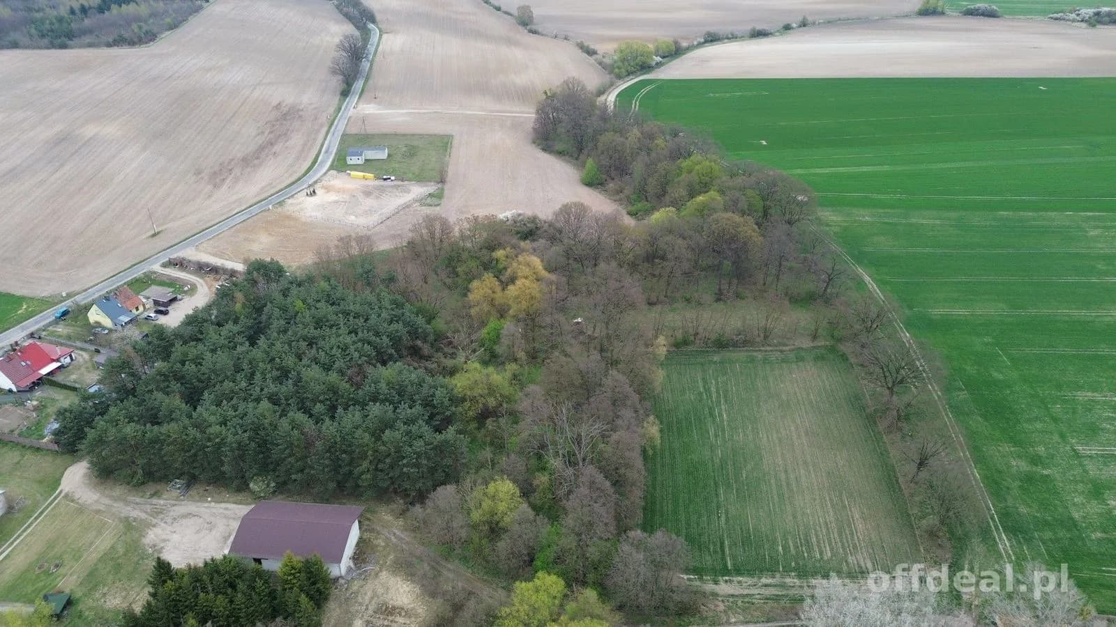 plot for sale in Grzebielin | 34,600 m²