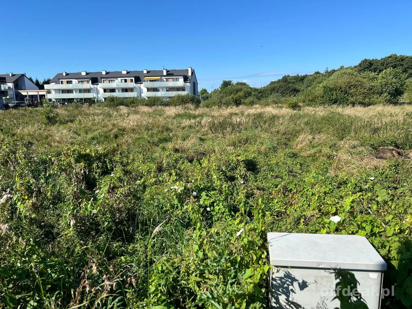 ділянка на продаж у Grzybowo | 8 939 m²
