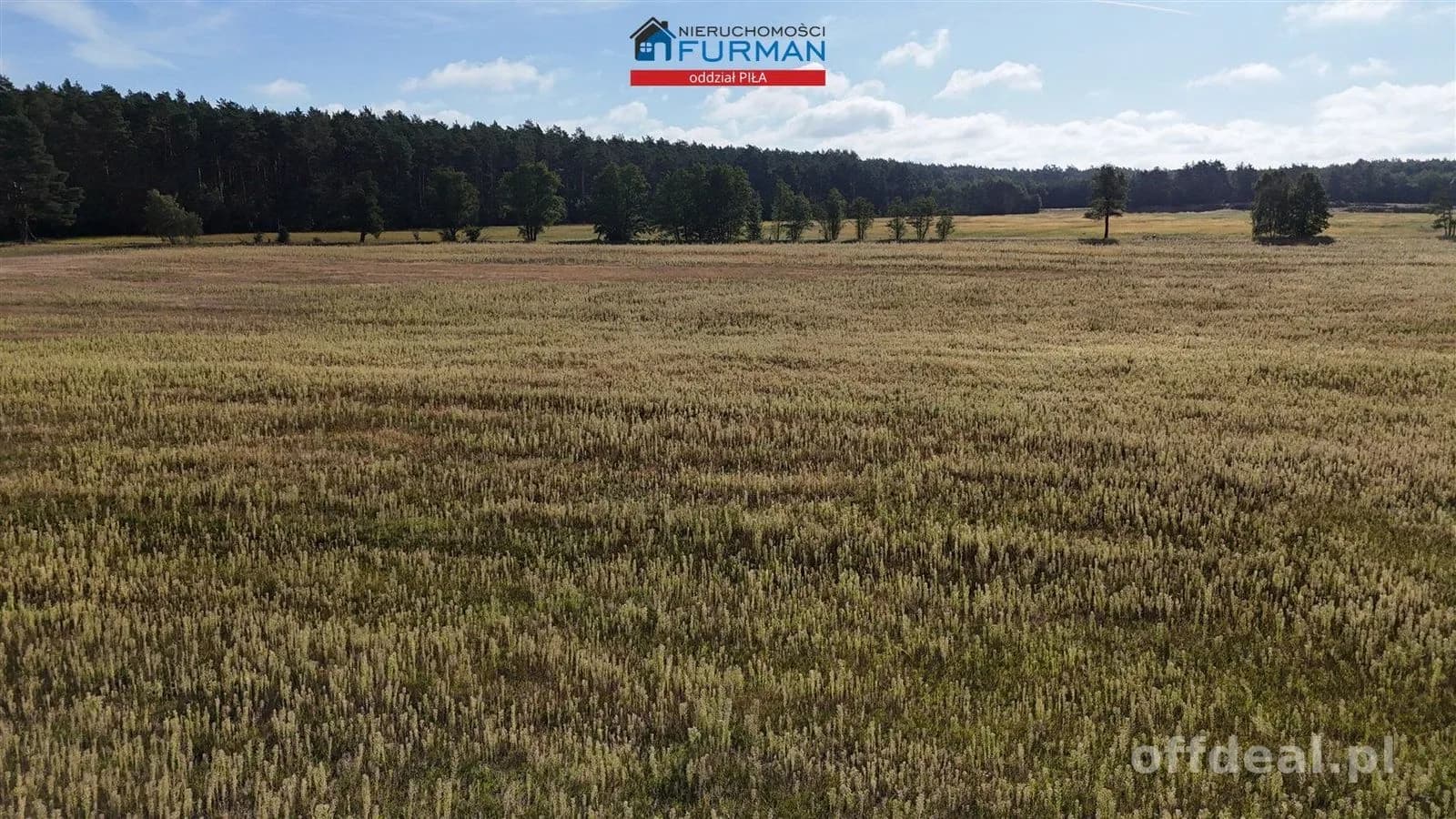 Zdjęcie 7: Działka, 135645 m², Sarcz
