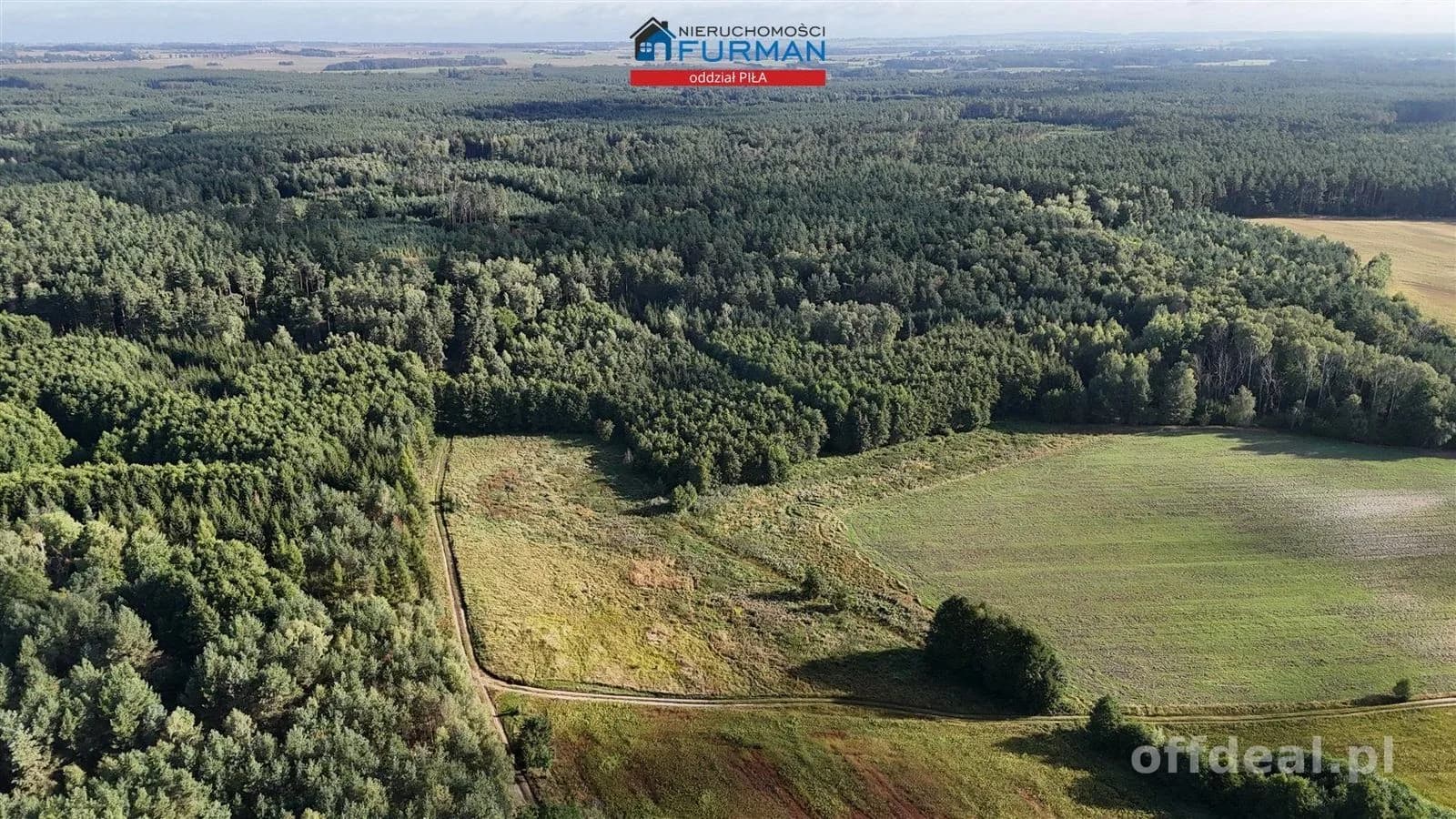 Zdjęcie 4: Działka, 135645 m², Sarcz