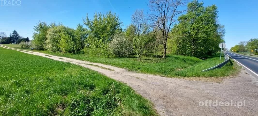Działka inwestycyjna pod AG, Słupca, Wola Koszucka
