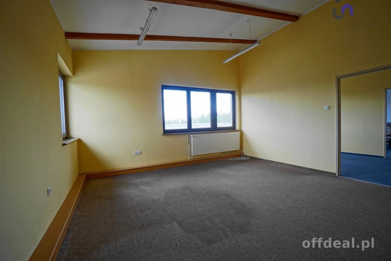 Lokal na wynajem, Siemianowice Śląskie