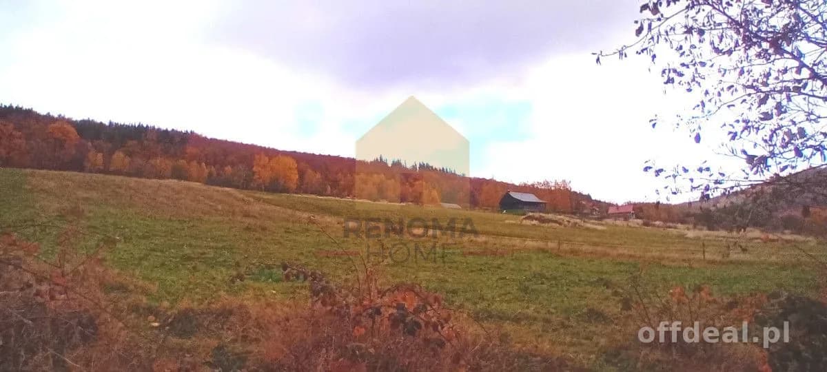 Działka budowlana w Kamionkach