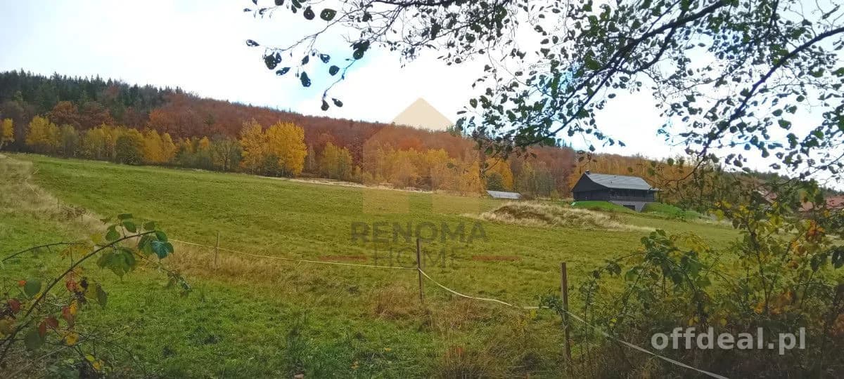 Działka budowlana w Kamionkach