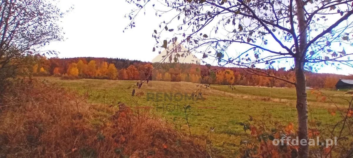 Działka budowlana w Kamionkach