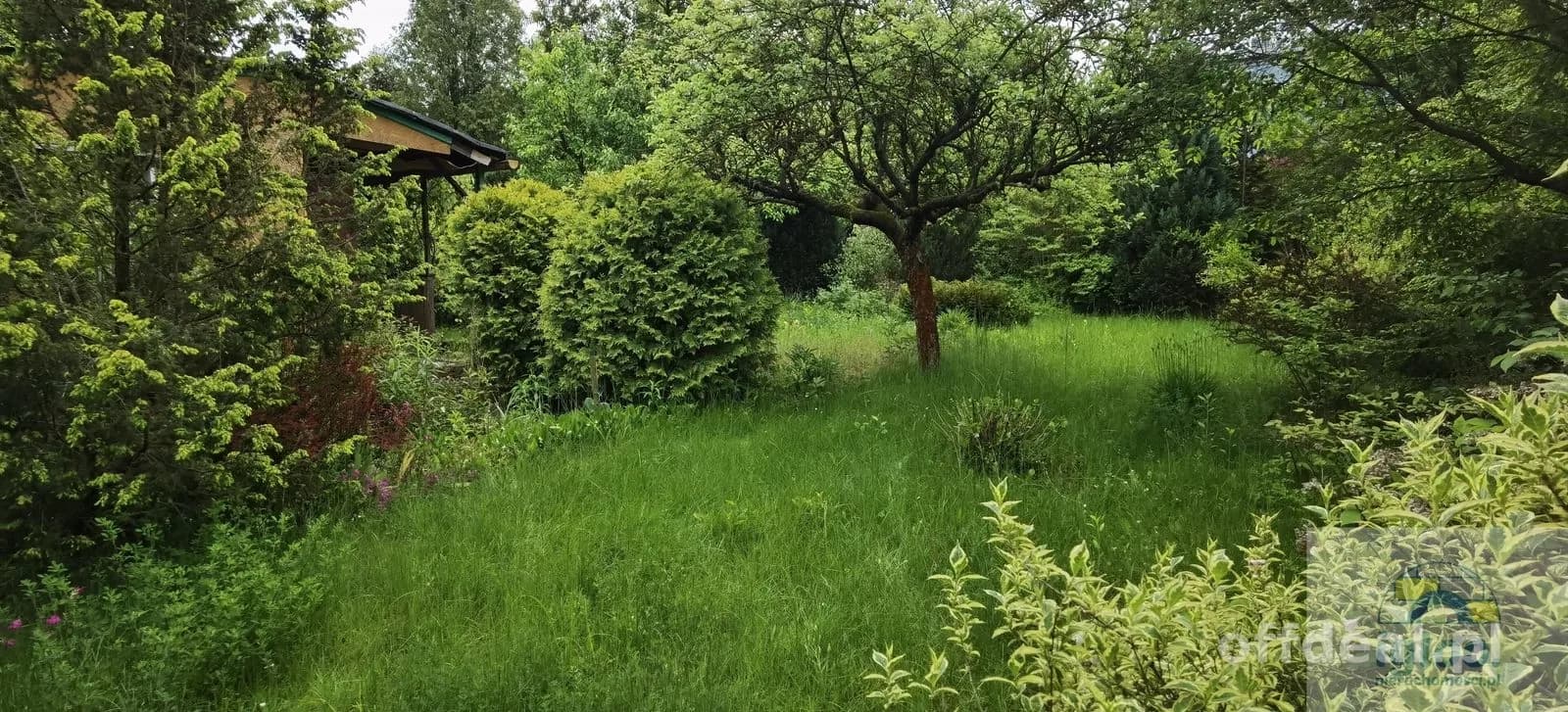 terrain à vendre à Kielce, Barwinek | 470 m²