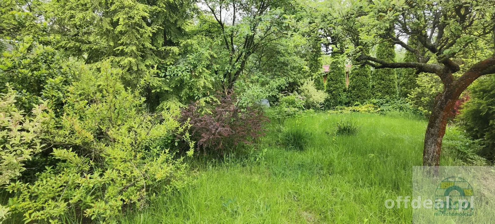 terrain à vendre à Kielce, Barwinek | 470 m²