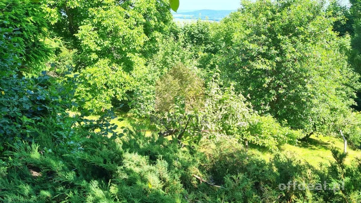 8-room house for sale in Srebrna Góra | 320 m²
