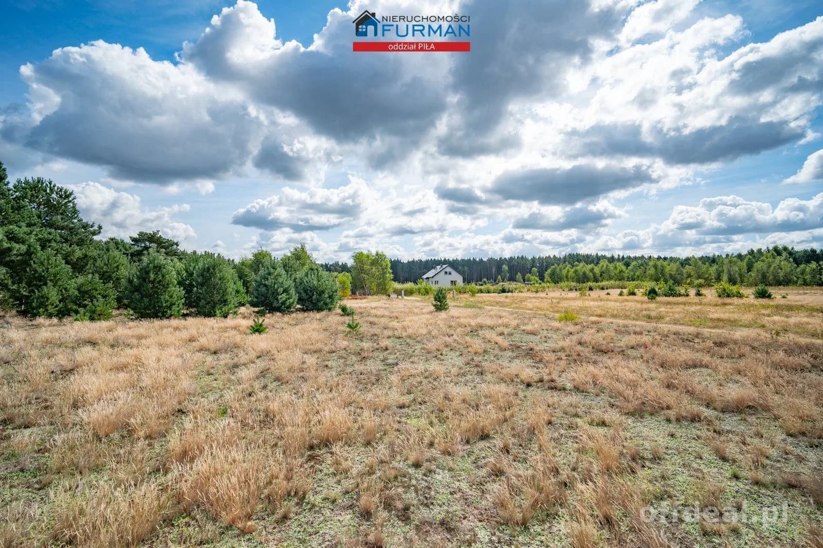 terrain à vendre à Kłoda | 925 m²