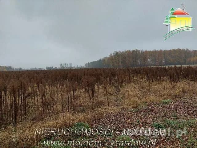 Polecamy działki w Miedniewicach