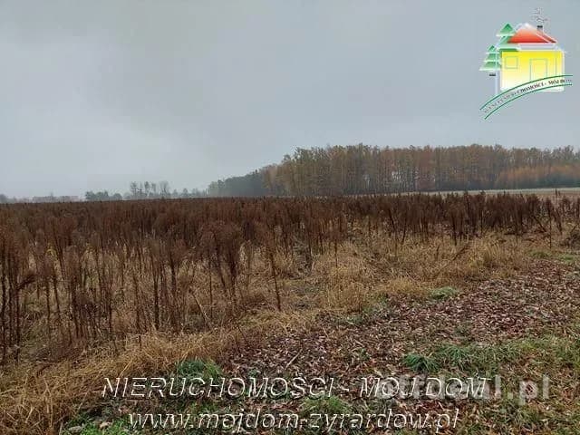 Polecamy działki w Miedniewicach