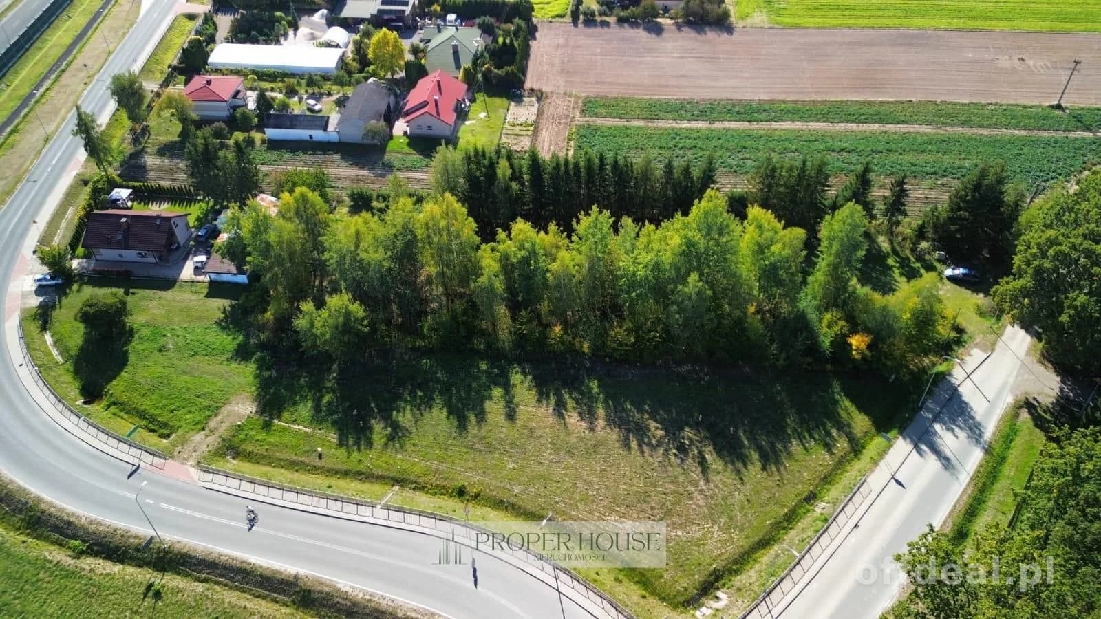 Zdjęcie 1: Działka, 3000 m², Zemborzyce Tereszyńskie
