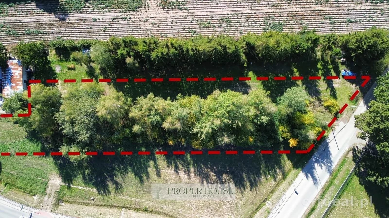 Zdjęcie 5: Działka, 3000 m², Zemborzyce Tereszyńskie