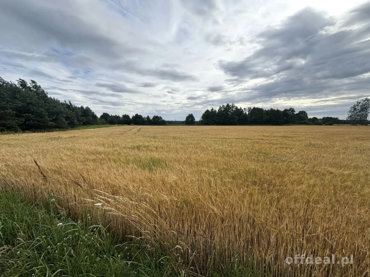 Chrząstawa 15 arów -Przy lesie - działka budowlana