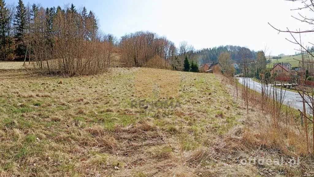 terrain à vendre à Nowa Ruda | 2 150 m²